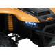 Buggy Arctic Cat Gold