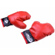 Boxing gloves + bag set SP0565