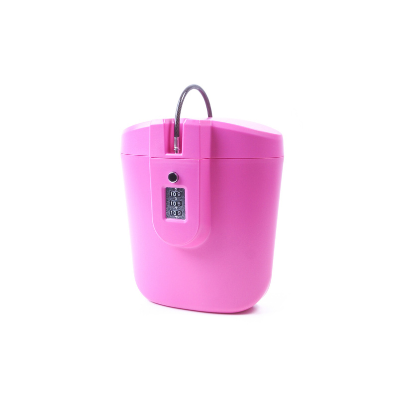 Aga Portable Security Box Pink