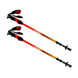 Spartan Trekking poles CARBON 20007