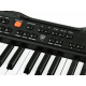 Organ with microphone SD-S850 61 keys IN0143