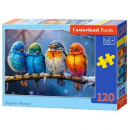 Puzzle 120 pieces Together Warmer universal