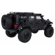 R/C Car WILDERNESS RTR 1:10 Black