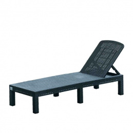 L65 POOL LOUNGER GARDEN LOUNGERS CASE