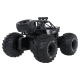 R/C Vehicle LION Black