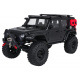 R/C Car WILDERNESS RTR 1:10 Black