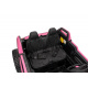 Buggy RTR Monster Speed 4x4 Pink