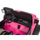 Extreme Sport 4x4 Vehicle Pink