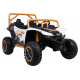 Buggy Vehicle Arctic Cat White