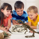 Aga4Kids Set for Little Paleontologists T-Rex