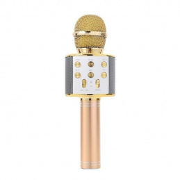 Q17B2 MICROPHONE KARAOKE GOLD SIMPLE