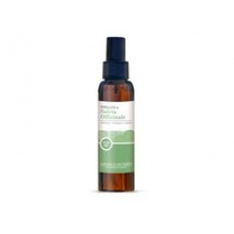Cleansing Hydrolate from Medicinal Sage - 100 ml SAPONE DI UN TEMPO Universal