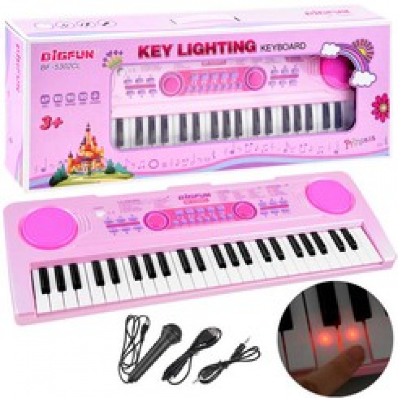 Organ with microphone and illuminated keys IN0151