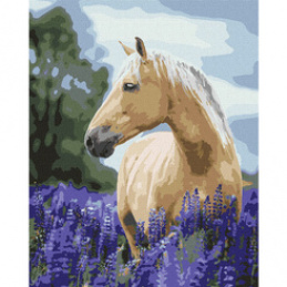 Painting by numbers 40x50 cm KHO4392 Walk in the Lavender Field AP0105 universal