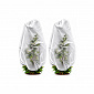Aga Plant Cover AGO8103
