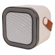 Karaoke Microphone and Speaker Set