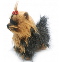 Black-Beige Dog