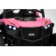 Buggy RTR Monster Speed 4x4 Pink