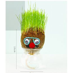 DIY Natural Creation