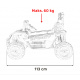 Buggy SPEEDY 4x4 Red Vehicle