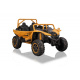 Buggy Arctic Cat Gold