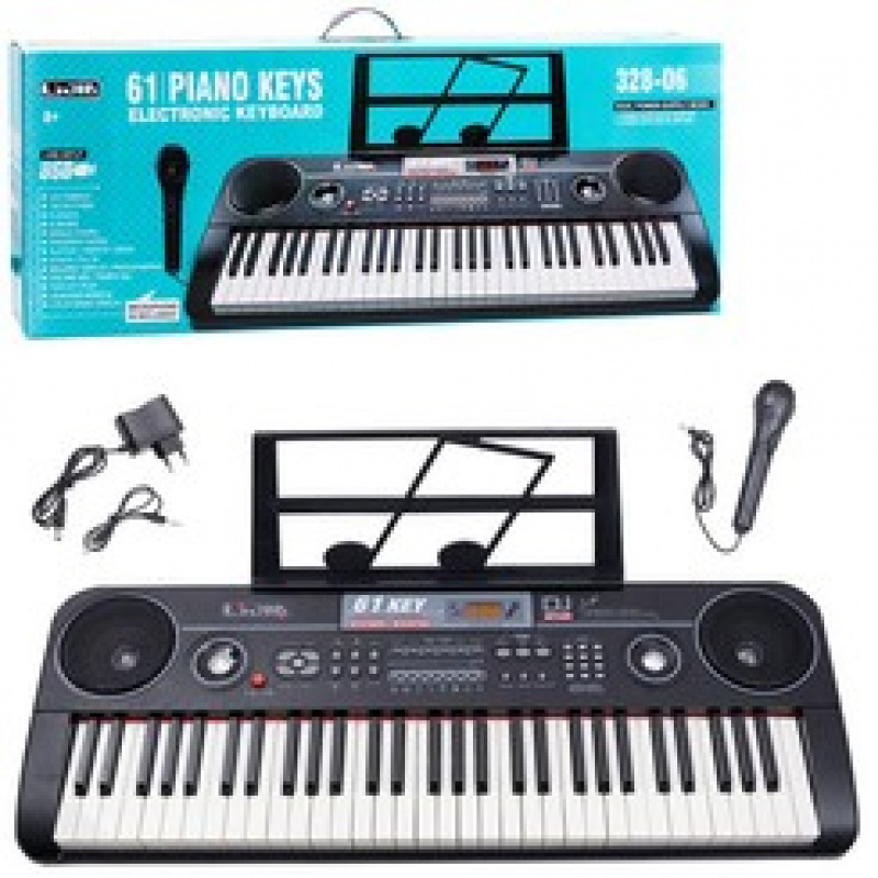 Organ with microphone 328-06 61 keys IN0082
