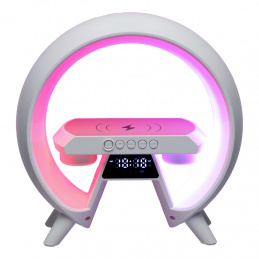 LED light with induction charger and radio