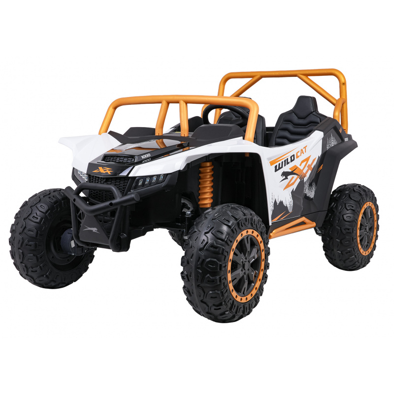 Buggy Vehicle Arctic Cat White