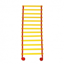 F80 COORDINATION TRAINING LADDER
