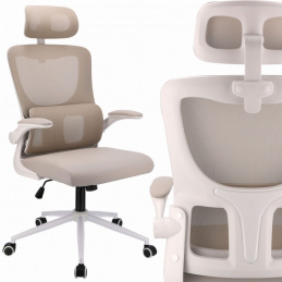 Ergonomic Office Chair ZEO - Beige