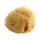Natural sea sponge POUPY