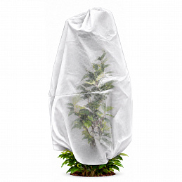 Aga Plant Cover AGO2159