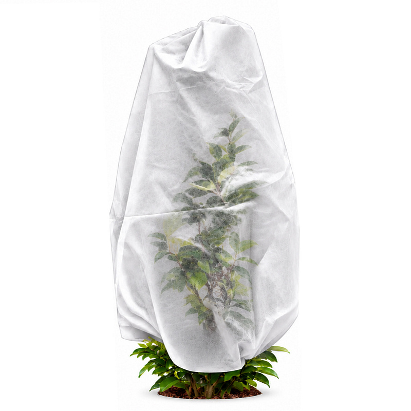 Aga Plant Cover AGO2159