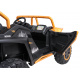 Buggy Arctic Cat Gold