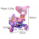 3-Wheeled Balance Bike for Kids Kačenka Purple + Sounds + Canopy + Barrier + Footrest + Handle + Storage Space