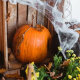 Artificial spider web with spiders white Malatec 19759