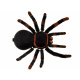 Tarantula remote control RC0251