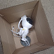 Aga Star Projector Astronaut with Remote Control - 2nd QUALITY