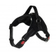 Harness for dog, size. M
