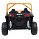 Buggy Arctic Cat Gold