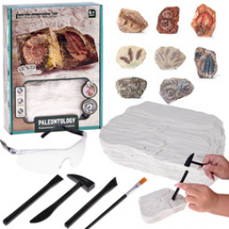 Archaeological Set Dig Up Surprise Fossilized LEAVES and BONES ZA5753 Universal