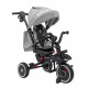 Tricycle RIDER Gray SPORTRIKE