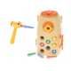 Aga Magnetic Bird Feeding Game