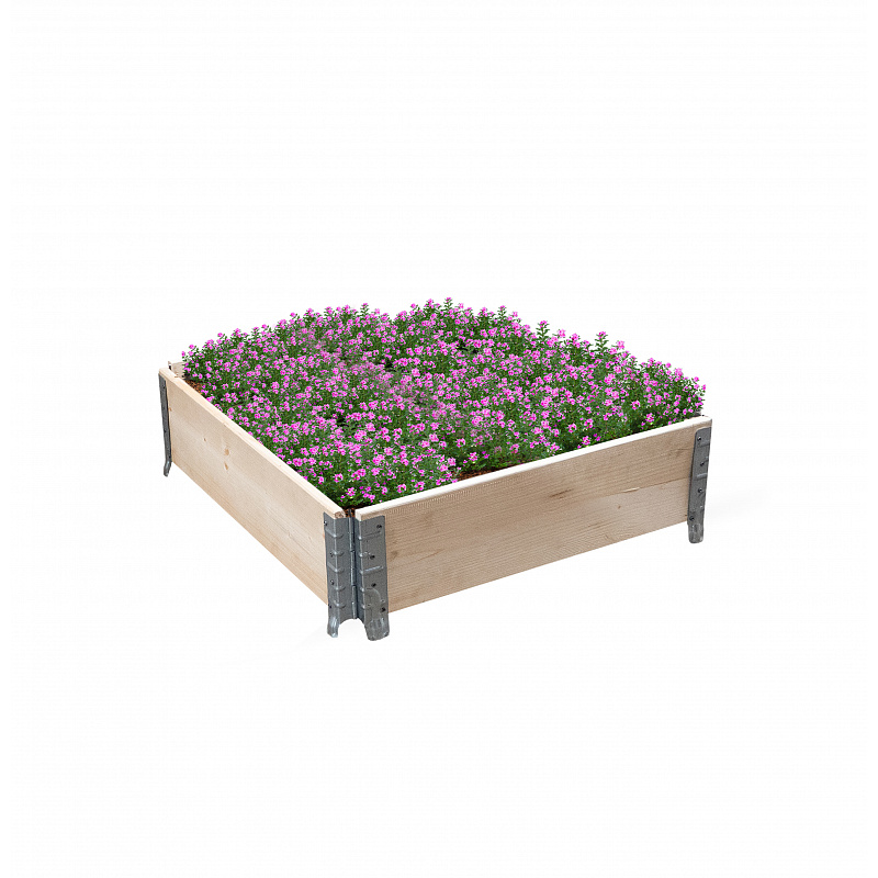 Aga Raised Bed 80x60x20 cm 6DAZ214 - II. QUALITY
