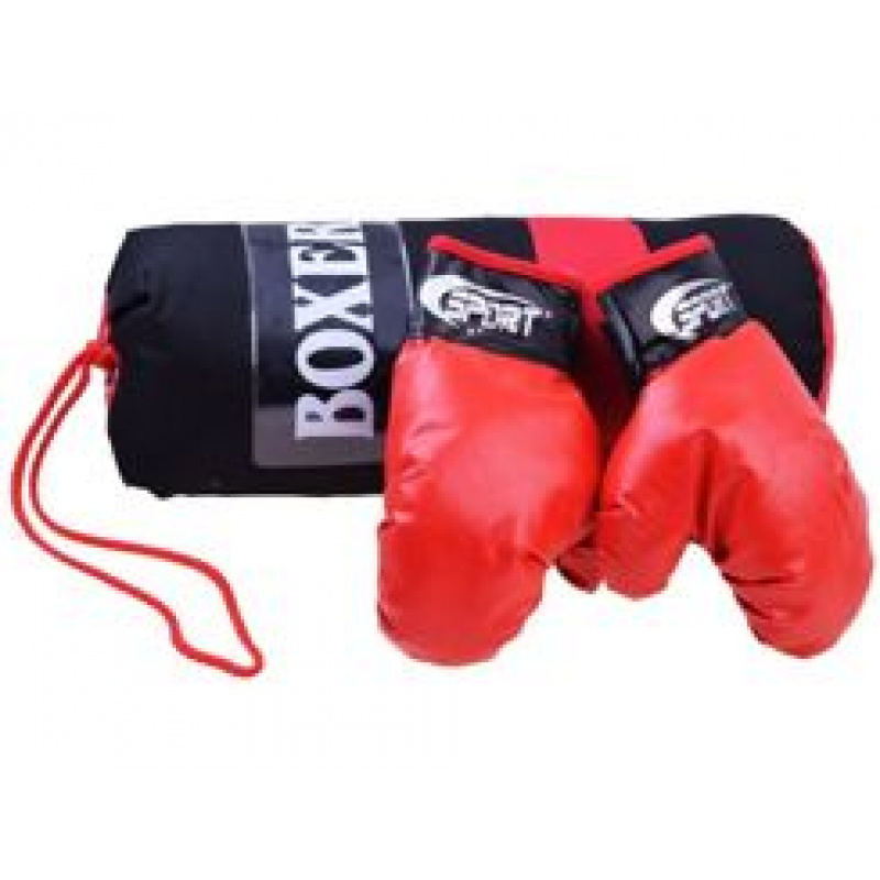 Boxing gloves + bag set SP0565