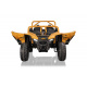Buggy Arctic Cat Gold