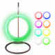 Aga Illuminated Hanging Chair RGB DS541