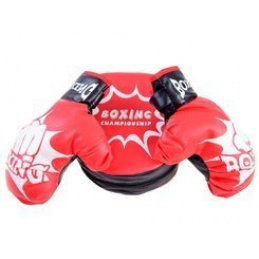 Boxing Gloves Training Set SP0638