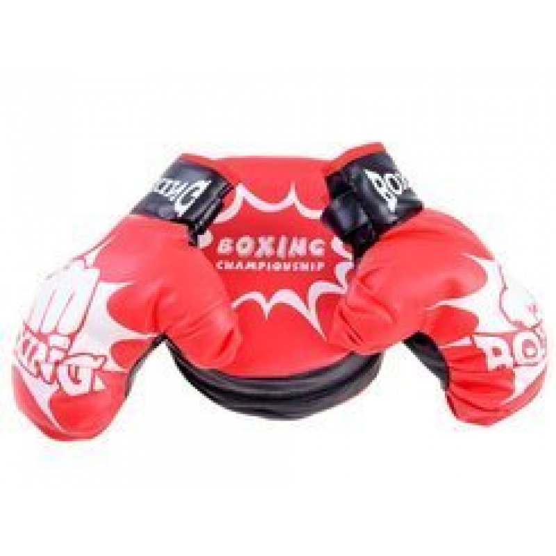 Boxing Gloves Training Set SP0638