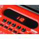 Organ with microphone 61 keys IN0132 Red